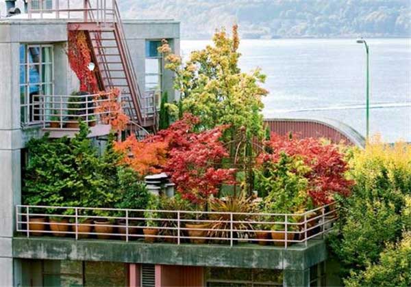 怎樣提升您家陽臺(tái)的整體效果