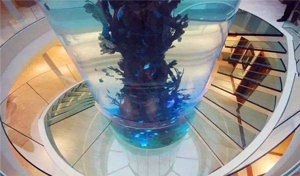 魚缸樓梯